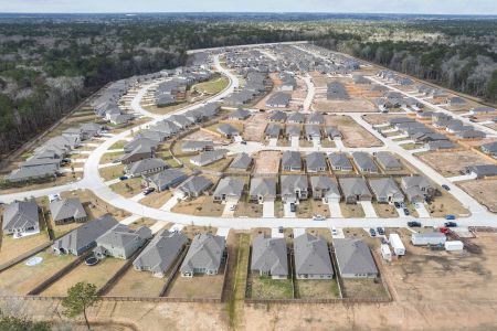 Pinewood at Grand Texas by M/I Homes in New Caney - photo 3 3