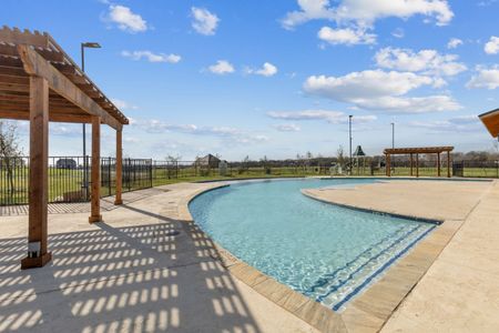 DeBerry Reserve by Trophy Signature Homes in Royse City - photo 17 17