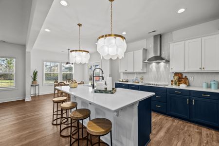 Griffon Pointe by Dream Finders Homes in Lillington - image