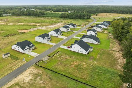 Pandora's Path by Veranda Homes in Florence - image