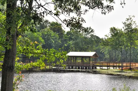 Hitchcock Preserve 60' by Veranda Homes in Aiken - image 3
