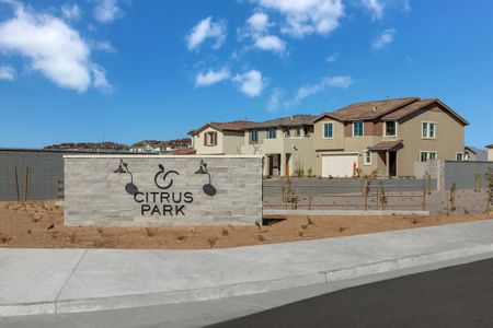 Valencia at Citrus Park by Risewell Homes in Goodyear - image