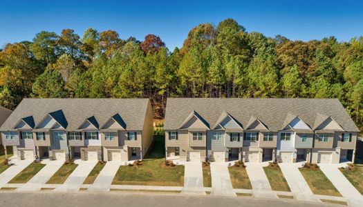 Turtle Creek Villas by Stephen Elliott Homes in Winder - photo 2 2