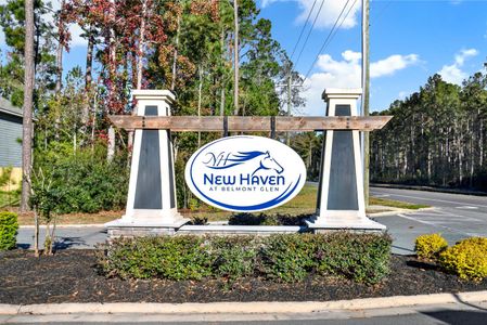 New Haven At Belmont Glen by Ernest Homes in Guyton - image