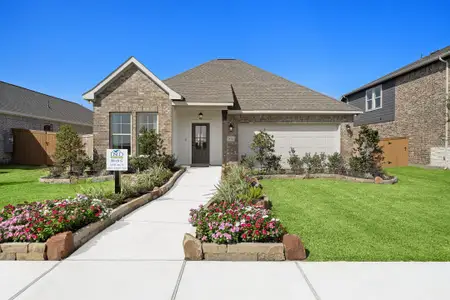 Emberly 55 by DSLD Homes in Beasley - image