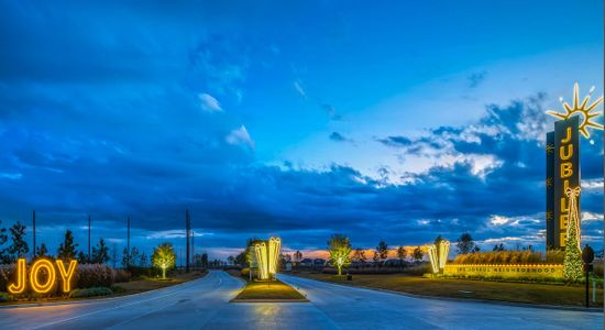 Jubilee 45' 70' by Newmark Homes in Hockley - image 13