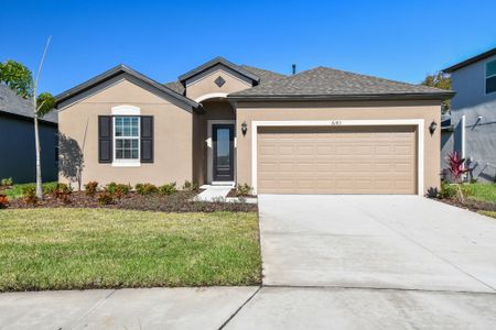 Tea Olive Terrace at the Fairways by William Ryan Homes in Palmetto - photo 5 5