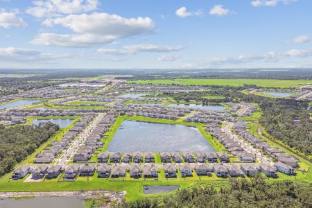Berry Bay by M/I Homes in Wimauma - image 16