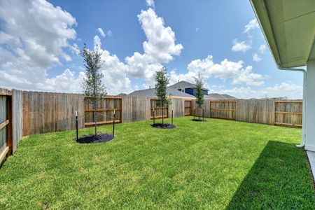 La Segarra 40' by Tricoast Homes in Brookshire - image 3