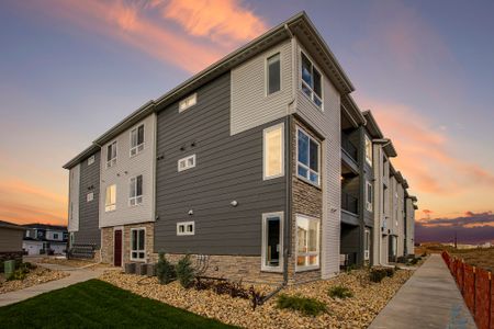 Stonegate Condos by Lokal Homes in Parker - photo 5 5