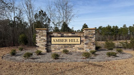 Amber Hill by Hurricane Builders in West Columbia - image