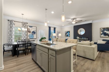 The Andros by Smith Douglas Homes in Dalton - image 6