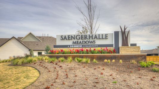 Saengerhalle Meadows by D.R. Horton in New Braunfels - photo 0