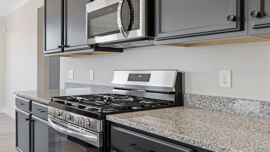 Hemlock by D.R. Horton in Williamston - image 10