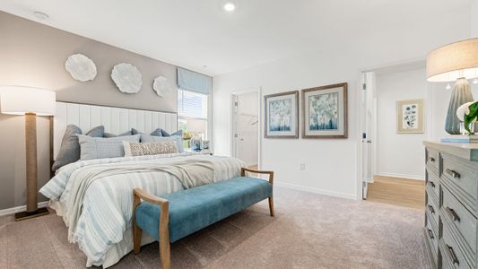 Solena by Taylor Morrison in North Fort Myers - image 10