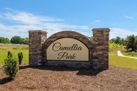 Essence at Camellia Park by Stanley Martin Homes in Thomson - image