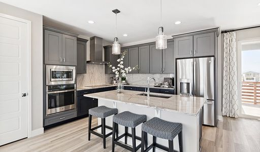 The Summit at Meridian by Richmond American Homes in Englewood - image 4