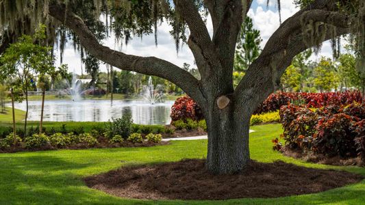 Farm at Varrea by D.R. Horton in Plant City - photo 17 17