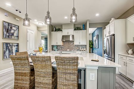 Sandy Creek by SEDA New Homes in Saint Augustine - photo 39 39