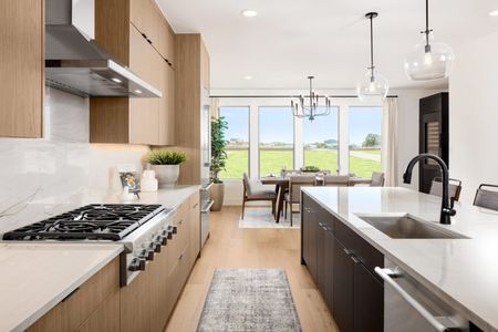 The Preserve on the Park by Cadence Homes in Addison - image 6