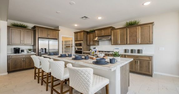 Eminence at Alamar by William Ryan Homes in Avondale - photo 44 44