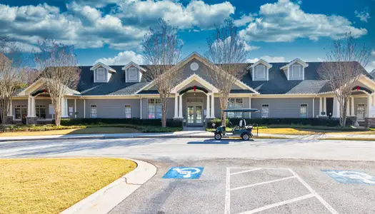 Traditions of Braselton by Stephen Elliott Homes in Jefferson - image 18