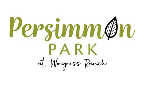 Persimmon Park - Garden Series by David Weekley Homes in Wesley Chapel - photo 32 32