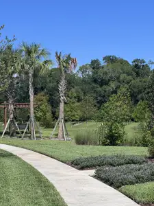 Crosswinds 40' Paired Villas by David Weekley Homes in Nocatee - image