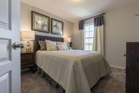 Notting Hill by CastleRock Communities in Converse - photo 31 31