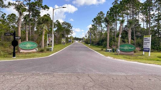Palmetto Bluff by D.R. Horton in Port Saint Joe - image