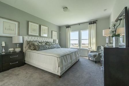 Notting Hill by CastleRock Communities in Converse - photo 29 29