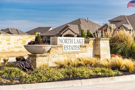 Northlake Estates 65s by Taylor Morrison in Little Elm - photo 8 8