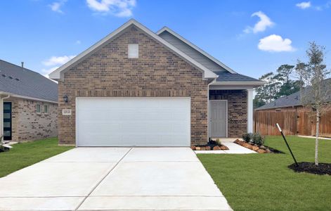 The Canopies by Smith Douglas Homes in Splendora - photo 20 20