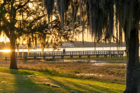 Overlook Collection at Cypress Reserve 3