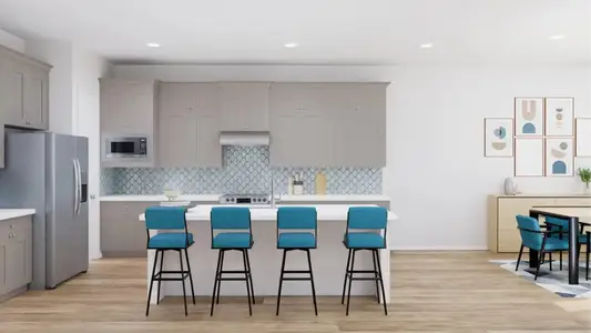 The Preserve at Rosenberg: Pinnacle 4