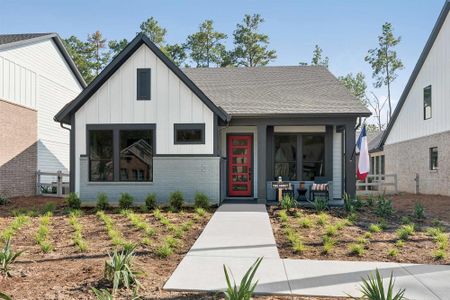 Two Step Farm 42' by David Weekley Homes in Montgomery - image