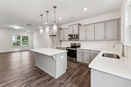 Dukes Ridge by True Homes in Charlotte - photo 1 1