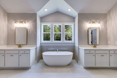 Harmon Springs by Trademark Quality Homes in Carrollton - image 14