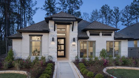 Artavia 50' by Perry Homes in Conroe - photo 0 0