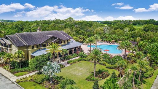 Eave's Bend at Artisan Lakes by Taylor Morrison in Palmetto - photo 4 4