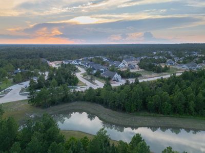 Kresston by Westin Homes in Montgomery - image