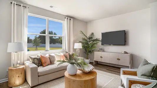 South Island landing by D.R. Horton in Georgetown - image 3