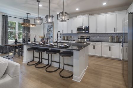 Beresford Woods by Landsea Homes in Deland - photo 39 39