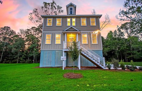 Maple Street Village by Hunter Quinn Homes in Hanahan - photo 2 2