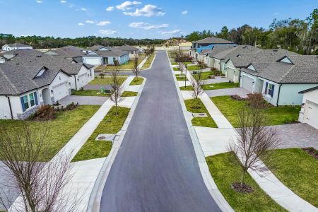 Berry Bay by M/I Homes in Wimauma - image 12