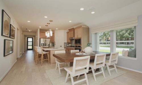 Ellis Cove by Brightland Homes in Seabrook - photo 15 15