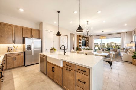 Lucent at Terraza by Tri Pointe Homes in San Tan Valley - photo 22 22