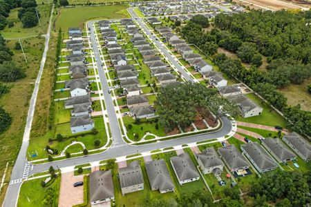 Lake Lincoln by Risewell Homes in Eustis - image