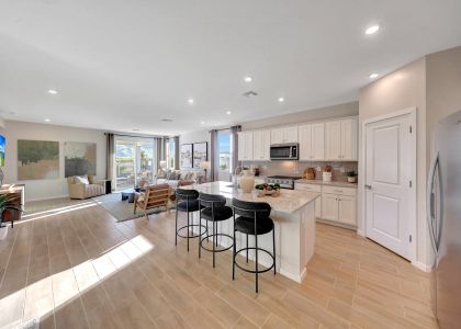 The Vistas Collection at Skyline Village 6