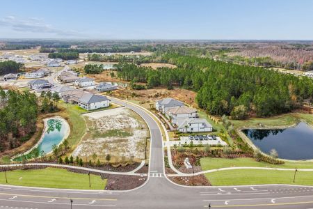 Shortgrass at Two Rivers by M/I Homes in Zephyrhills - image 11